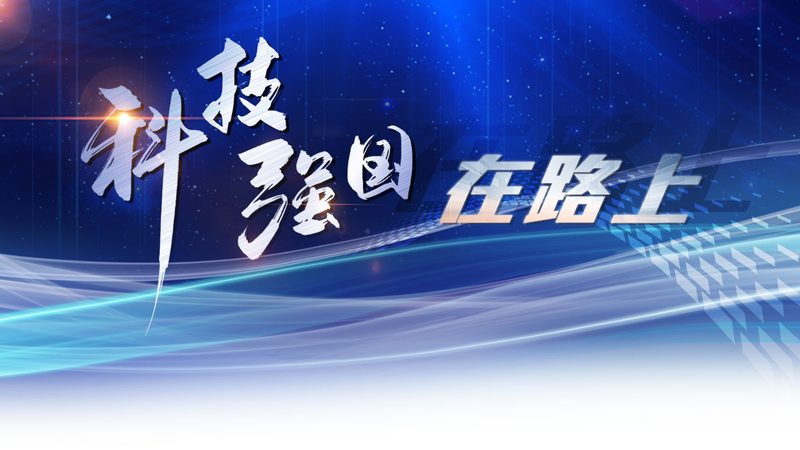 SaaS平台案例定制：企业数字化转型的新路径
